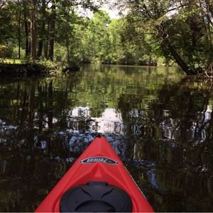 Meet your Posher, Leigh